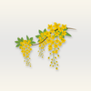 Cassia Essential Oil
