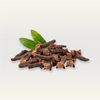 Clove Essential Oil