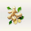 Ginger Essential Oil