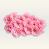 Grace Flora Fragrance Oil
