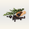 Juniper Berry Essential Oil
