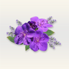 Lavender Essential Oil