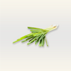 Palmarosa Essential Oil