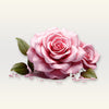 Rose Fragrance Oil
